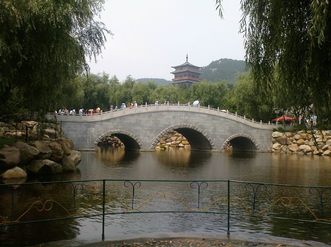 Дмитрий Тимохин фотография #18