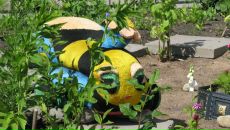 Фотография Laynen Yoko