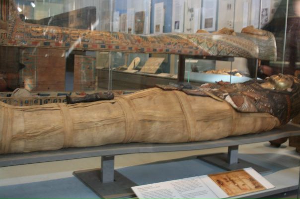 Дмитрий Гудков фото №21