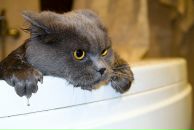 Фотография Кишенковой Катерины