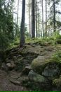 Сергей Д фотография #42 (источник - https://vk.com/id1361995)