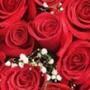 Іра Сакундяк фотография #42 (источник - https://vk.com/id35307343)