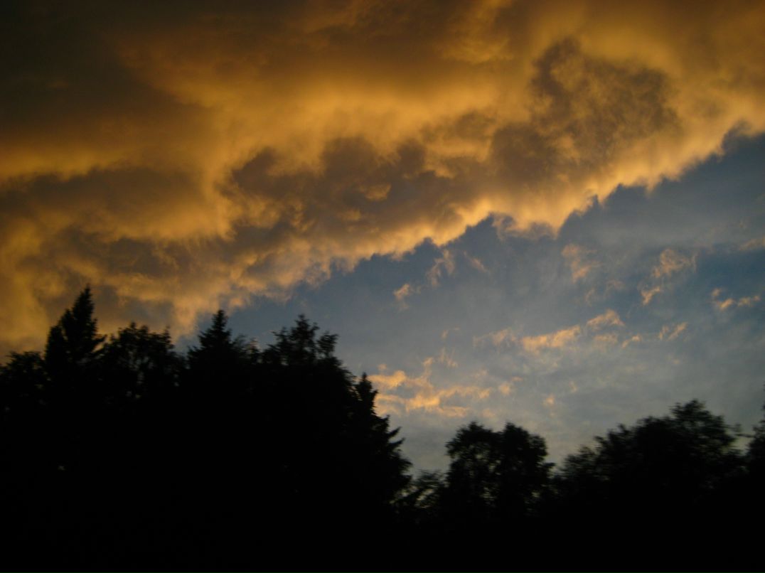 Дмитрий Линьков фотография #16