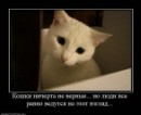Фотография Трапезниковой Патриции