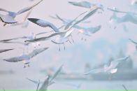 Фотография Океановой Ирины