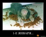 Фотография Нечаевой Саши