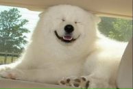 Фотография Кудаш Игорь