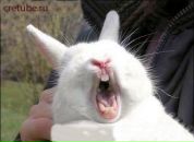 Фотография Лёшиной Евгении