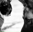 Ліля Стась фотография #25 (источник - https://vk.com/id65592732)