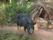 Фотография Каратаева Максимиллиано