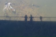 Фотография Мосиенко Дианы