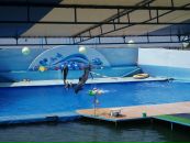 Сергій Склонний фотография #17 (источник - https://vk.com/id68306158)