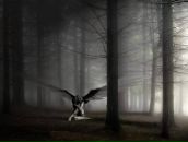 Фотография Ложкин Алексей