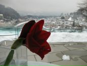 Фотография Goncharova Yulia