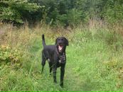 Фотография Лебедевой Аллы