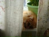 Фотография Онищенко Евгении