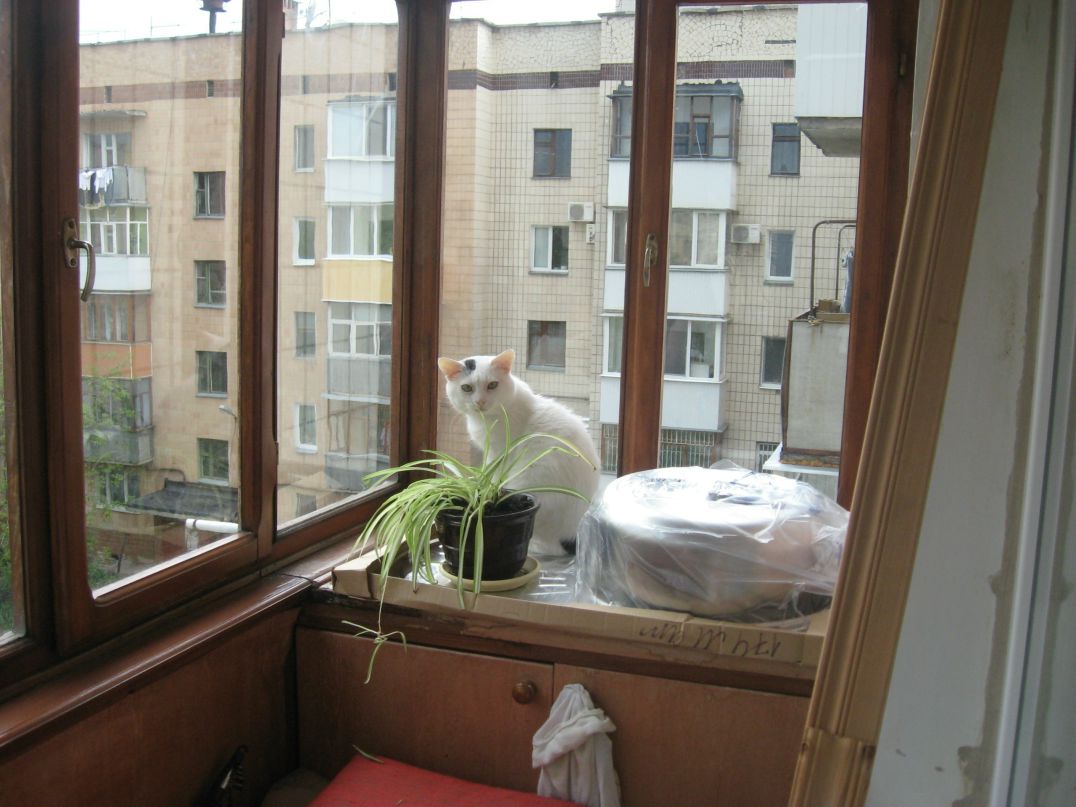 Андрюша С******* фотография #10