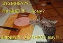 Діма Зарудзей фотография #1