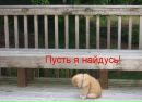 Фотография Дадаевой Элеоноры