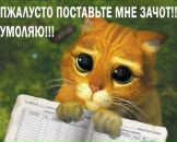 Фотография Бабушкин Дмитрий