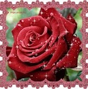 Діана Береза фотография #31 (источник - https://vk.com/id157656163)