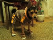 Фотография Строгоновой Юлии