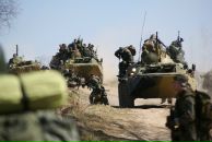 Фотография Лебедя Витали