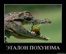 Думка Нації фотография #34 (источник - https://vk.com/id23256438)