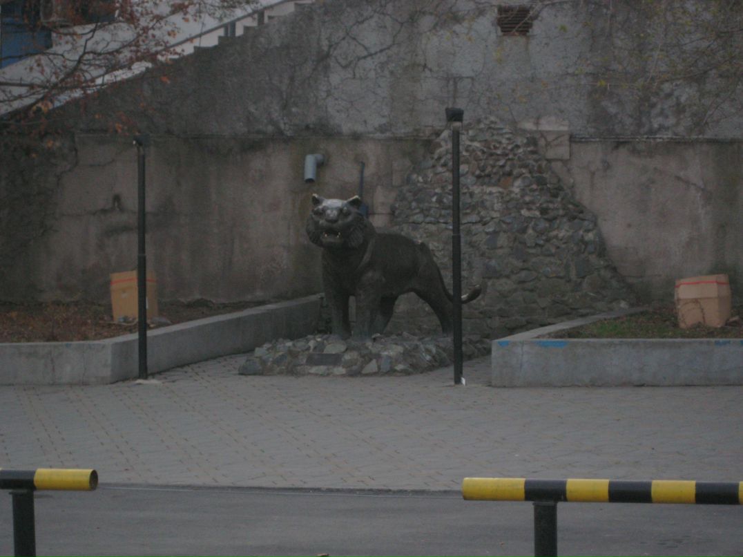 Игорь Сысоев фотография #13