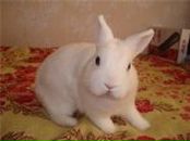 Фотография Плюшевой Юльки