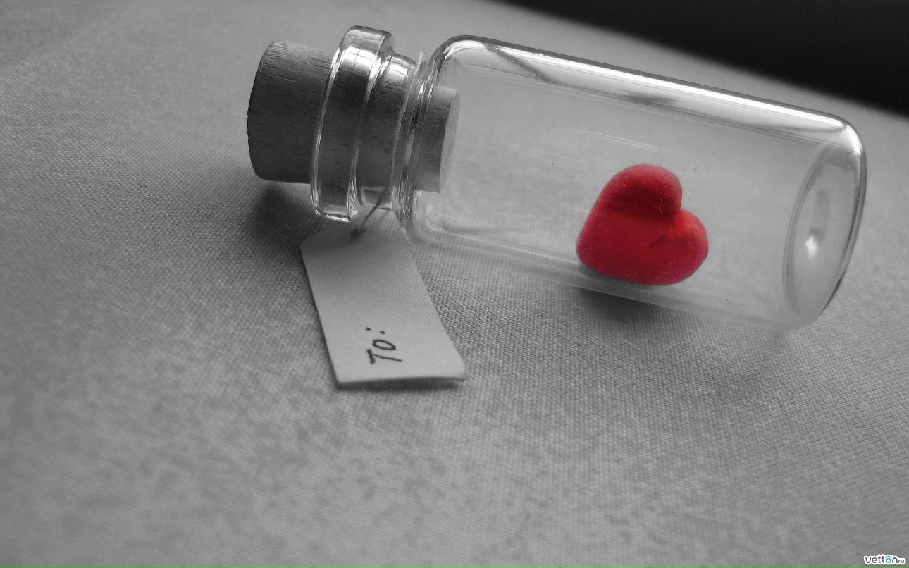 Илья Григорян фотография #28