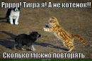 Ахмед Султанов фотография #31 (источник - https://vk.com/id308859255)