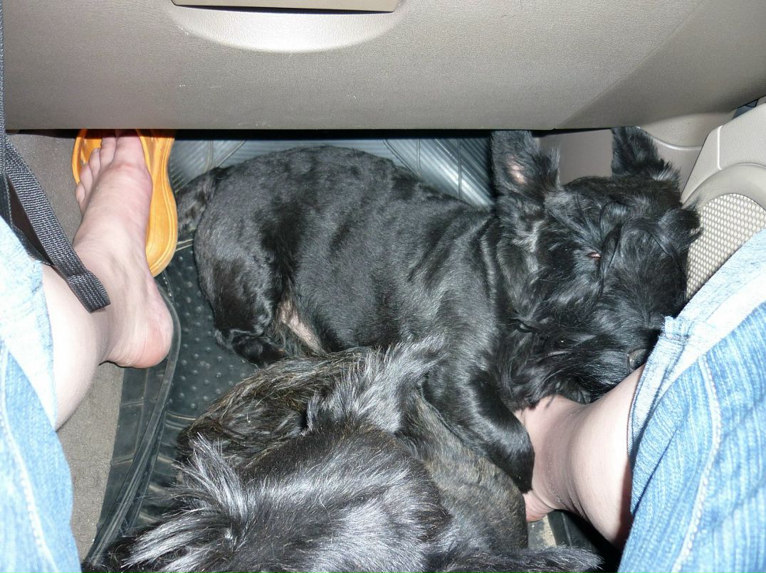 Софья Елисова фотография #22