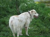 Фотография Павловой Марины