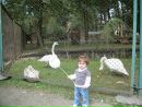 Танічка Пастушак-бутковська фотография #29 (источник - https://vk.com/id83271107)