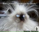 Фотография Владимир Пестриков