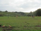 Андрій Ільницький фотография #35 (источник - https://vk.com/id75537117)