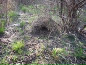 Юрій Правдивий фотография #10 (источник - https://vk.com/id4605219)