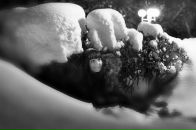 Фотография Матрёниной Вероники