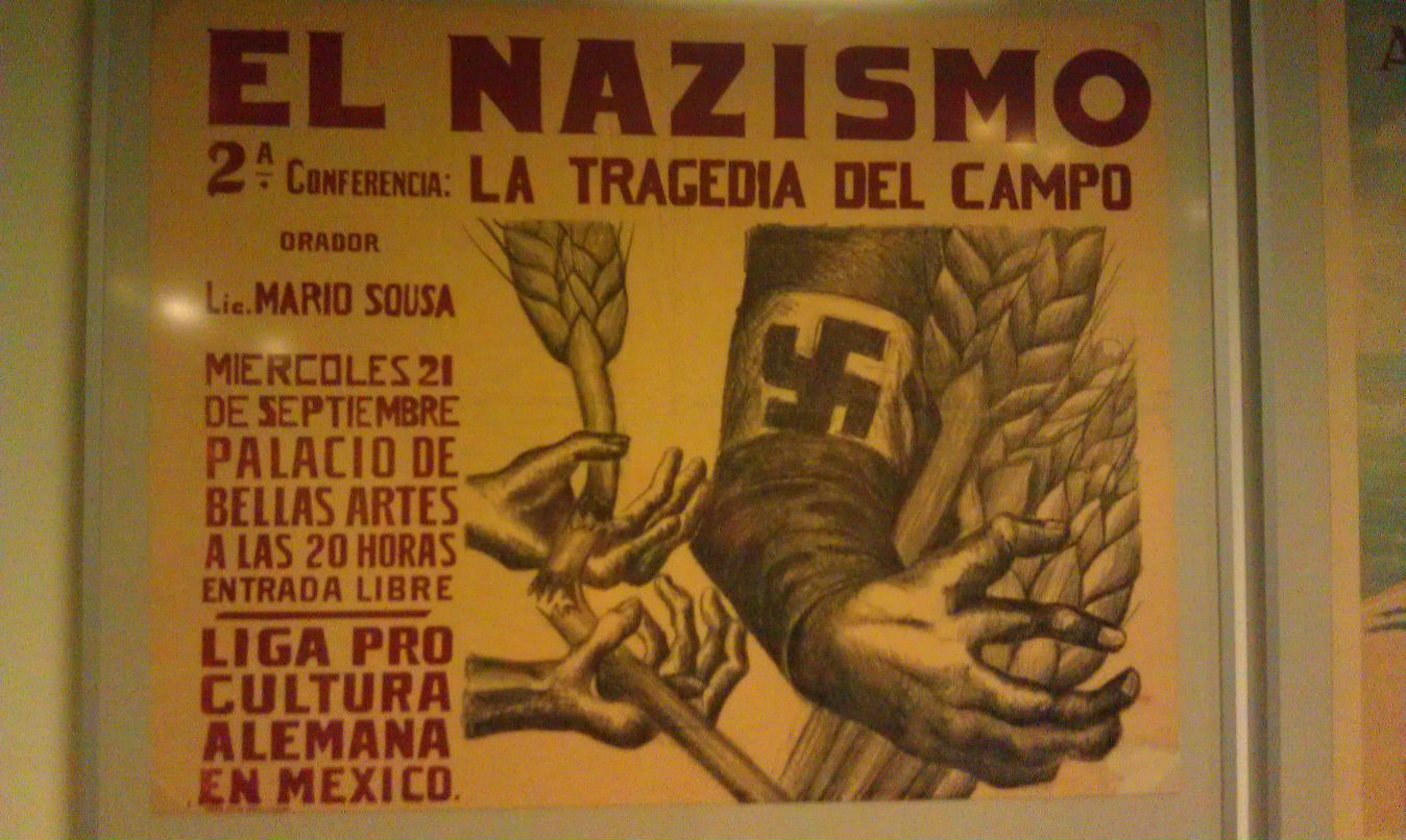 Sira Bredotto фотография #33