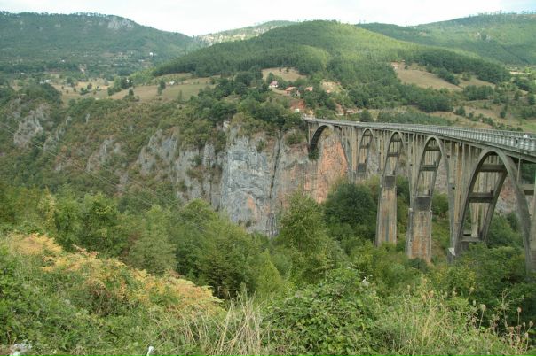 Олег Бражкин фото №22