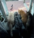 Сергій Прокопишин фотография #49 (источник - https://vk.com/id66292079)