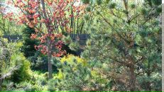 Рогнеда Степанова фотография #42 (источник - https://vk.com/id8756748)