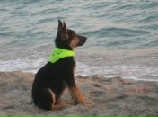 Фотография Shmakova Alla