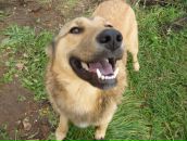 Фотография Коровкина Руслана