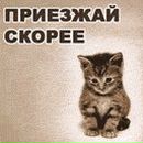 Андрій Дехтярук фотография #24 (источник - https://vk.com/id164672291)