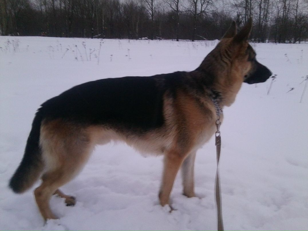 Андрей Кубышкин фотография #41