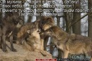 Едік Багинський фотография #5 (источник - https://vk.com/id91974712)