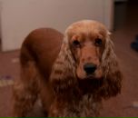 Фотография Евдокимовой Екатерины