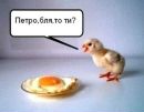 Віталік Гараздовський фотография #39 (источник - https://vk.com/id181015001)